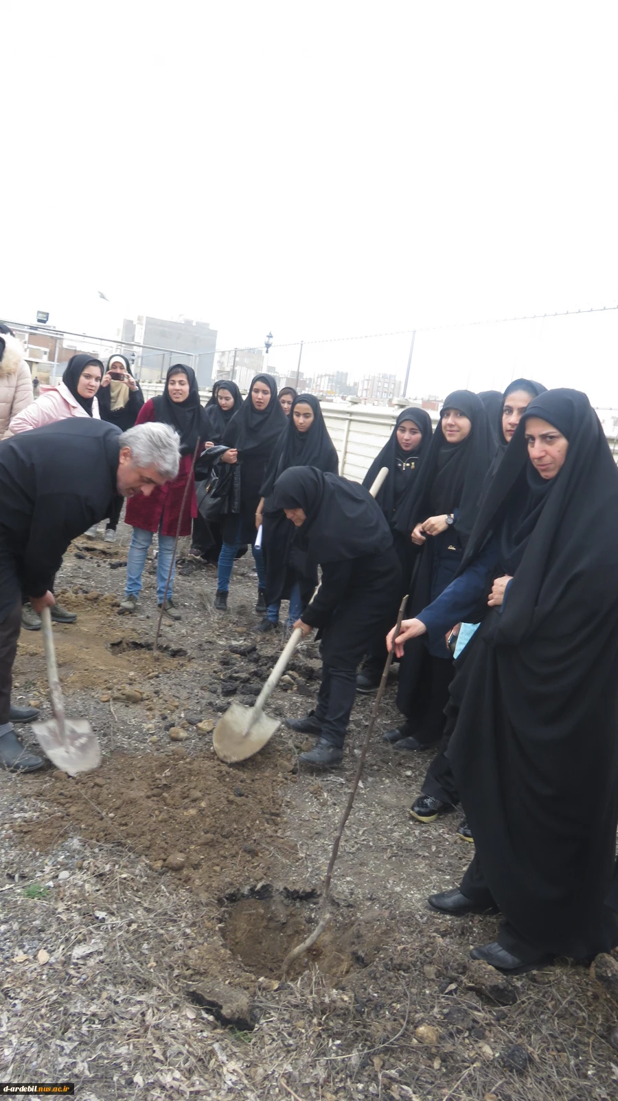 مراسم درختکاری با شعار هر دانشجو یک درخت 2